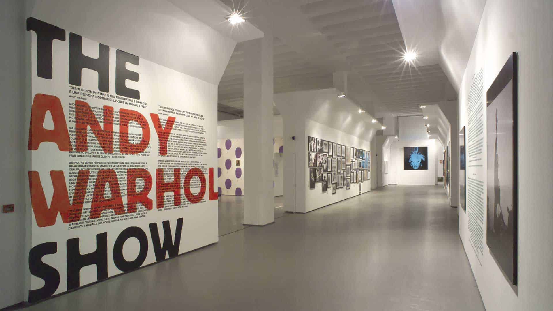 THE ANDY WARHOL SHOW